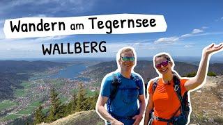 Wandern am Tegernsee: Auf den Wallberg mit grandioser Aussicht in die Alpen