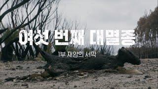 다큐프라임 - 여섯 번째 대멸종 - 《1부》 재앙의 서막