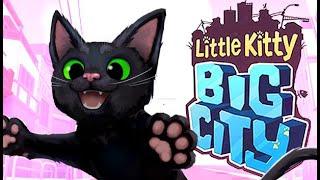 Exploring the Urban Jungle: Little Kitty, Big City Livestream!