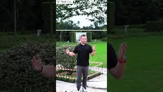 Балюстрада со шпалерными липами #shorts  #ландшафтныйдизайн #ландшафт
