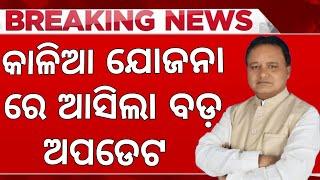 Kalia Yojana Money Odisha - Kalia Yojana New Update 2024 - Kalia Yojana Big Update June 18th Odisha