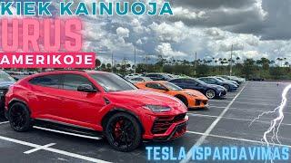 Kiek kainuoja Lambo URUS JAV? TESLU Ispardavimas Floridoje !