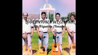 LOS CANTORES DEL CENTRAL / Las Trigueñas (tonada)