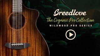 Breedlove Organic Collection Wildwood Pro Guitar Series with Designer Angela Christensen