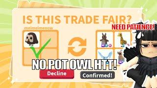 NO POTION = PATIENCE! WHAT PEOPLE TRADE FOR NO POTION OWL IN 2023 | Adopt Me Trading