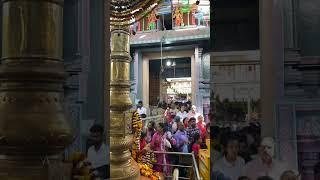 Balkampet Yellamma Temple Bonalu #shorts  #bonam #naiwiktv