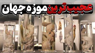 موزه‌ هایی که باید ببینید و موزه‌ هایی که نباید وقت‌ تان را تلف کنید