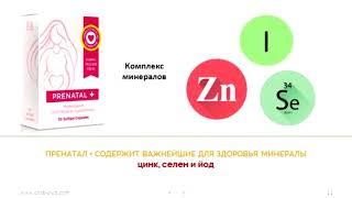 Витамины для жизни в начале рождения вашего малыша/Галина Шелех