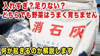 【石灰】入れすぎると何が起きる？足りないと何が起きる？石灰の役割と対策について詳しく紹介します