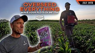 Overseeding Brassicas - Blends are Better | Dream Farm w/ Bill Winke