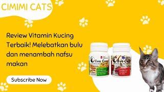 Vitamin Kucing Terbaik | Olive Care Review | Vitamin Kucing untuk Melebatkan Bulu