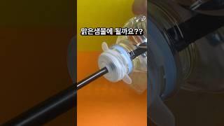 생수병 브랜드 마다 입구가 다르게 생겨서 다~해봤어요 #꿀팁 #베이비배 #육아용품 #육아팁