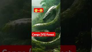 # Congo rain forest _amazon jungle ||the fact world #shorts #facts #science #facts