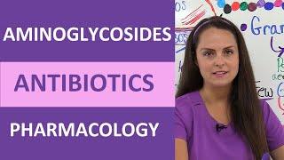 Aminoglycosides Pharmacology Nursing Antibiotics: Mechanism of Action, Mnemonic, Anti-Infectives