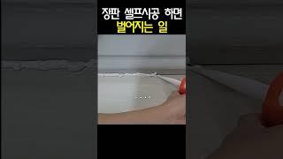 장판 셀프 시공하면 벌어지는 일 #전문가아님 #diy