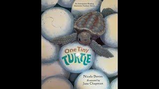 One Tiny Turtle read aloud