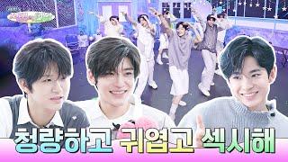 [SUB] 청량에 섹시 한 방울 쏟으면 NCT WISH 됨 | 체험! 직캠의 현장