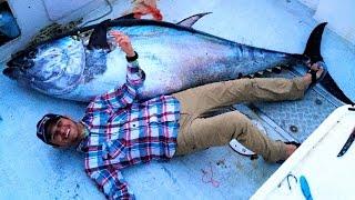 Giant Bluefin Tuna :: North Atlantic Fishing