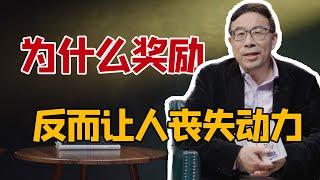 【彭凯平】我们的学习动力和工作激情被人为破坏了｜清华大学社会科学学院院长彭凯平讲解《内在动机》