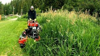 Helped My Wife's Friend MOW Her Overgrown GRASS That Was TALLER Than Me!