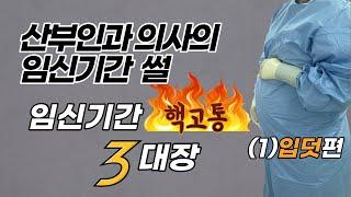 산부인과 의사의 임신기간 썰 (1) 입덧  | 임신 후기 | 임신기간 핵고통 3대장