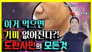 기미 치료 먹는 약 도란사민의 모든 것