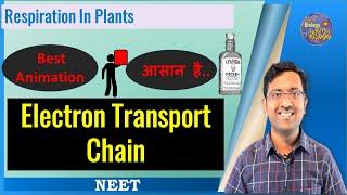 Very Easy Electron Transport Chain I NEET I Dr Kunal Tatte (KT)