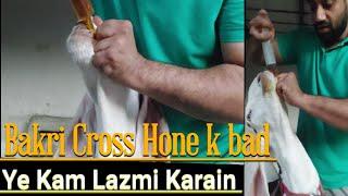 Bakri cross hone k bad ye kam lazmi karain ...