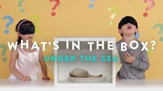 Under the Sea | What's in the Box | HiHo Kids