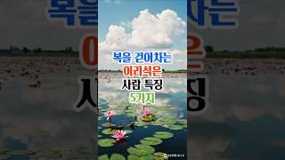 복을 걷어차는 어리석은 사람특징 5가지#명언#좋은글#삶의지혜#인생조언