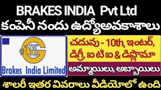 Sricity Company Nandu Udyogaavakaasalu - 10th to iti Diploma Jobs - Male And Female Jobs