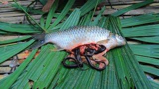 Wow!! Unbelievable Snake In Big Fish Stomach and then Cooking Fish Soup In Forest