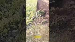 Electric device for fast soil digging in action