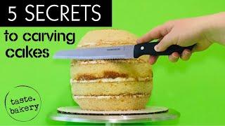 5 Secrets to CARVING CAKES into SHAPES for Beginners | Shaped Cakes | Cake Sculpting (Pro Tips!)