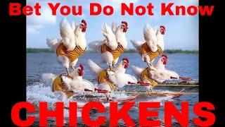 Bet You Did Not KNOW About Chickens | VINTAGE Big Family Homestead