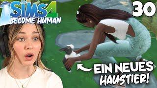 Ein HASE für den Blumenhase!  - Die Sims 4 Become Human Part 30 | simfinity