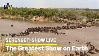 The greatest show on earth - Serengeti Great Migration 2020