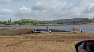 Morning drive along the Dudhni Lake | Unspoiled natural beauty