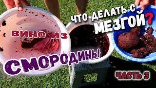 ВИНО ИЗ СМОРОДИНЫ: ЧТО ДЕЛАТЬ С МЕЗГОЙ | ЧАСТЬ 3