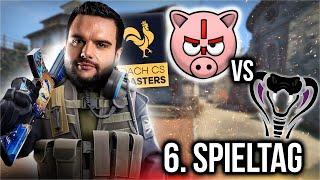 Das GEGNERTEAM ist UNGESCHLAGEN!  SCHWEINEAIM vs. STRYNX  DACHCS MASTERS - Saison 2 - Spieltag 6