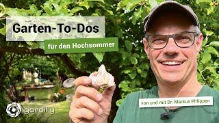 Wichtige Garten-To-Dos für den Hochsommer | gardify Tipps