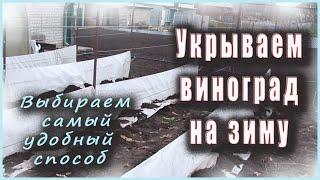 Укрытие винограда на зиму, выбираем самый удобный способ.