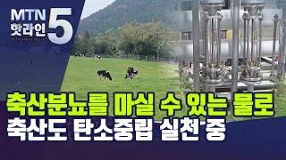 축산분뇨를 마실 수 있는 물로…축산도 탄소중립 실천 중 / 머니투데이방송 (뉴스)