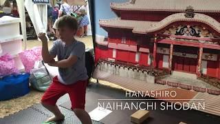 Bugeikan UK: Kata practice at Barnes Fair