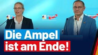 Presseerklärung von Alice Weidel und Tino Chrupalla