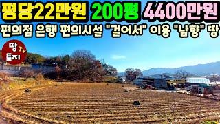 엄청나다! 홍천 급매 토지! 건축가능 계획관리 땅이 평당22만원 4400만원! 생활편의시설 걸어서 이용하는 최강 입지까지! #홍천싼땅 #홍천1억이하토지 #소액농막땅 #홍천 #텃밭땅