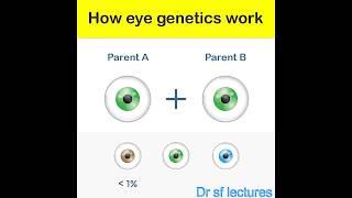 How eyes genetics works (Eye Color Genetics)
