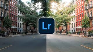 How to Edit Your Photos in Adobe Lightroom | Photography Basics