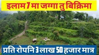 इलाम#ilam\Kanyam\Land for sale\12.5Ropani\H.R.K\Jhapa\Damak\Sunsari#East Nepal real estate#@Haresh