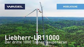 Unser dritter Liebherr LR11000 Raupenkran